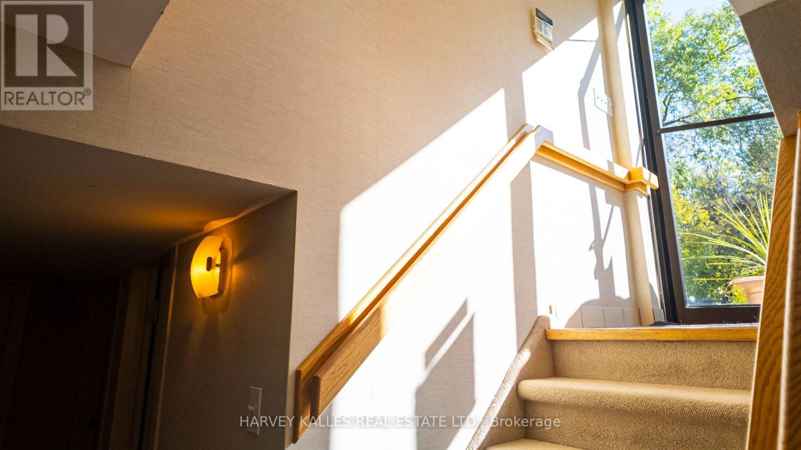 137 Sheppard Avenue E Property Photo 18
