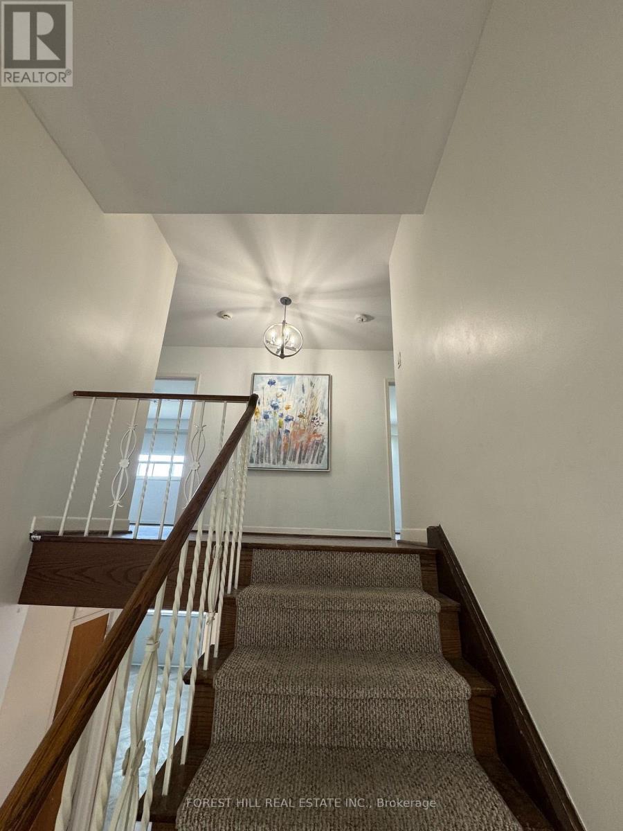 3 Tokay Court Property Photo 20