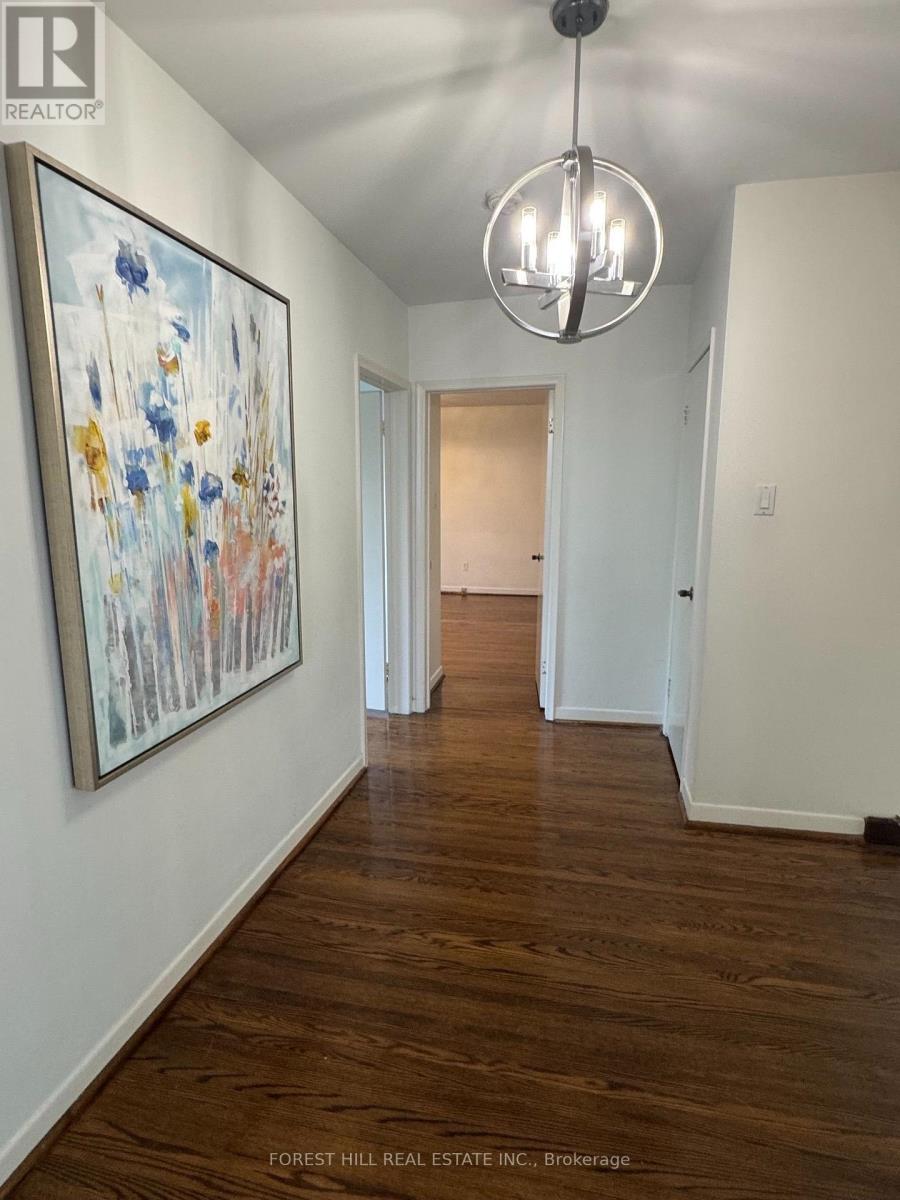 3 Tokay Court Property Photo 22