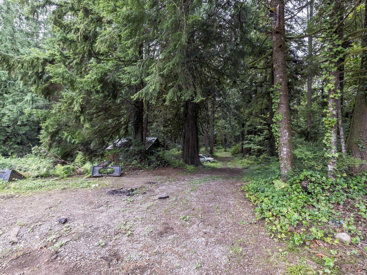 31170 Dewdney Trunk Road Property Photo 12