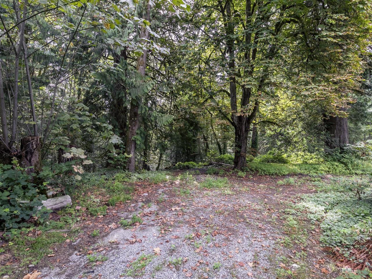 31170 Dewdney Trunk Road Property Photo 40