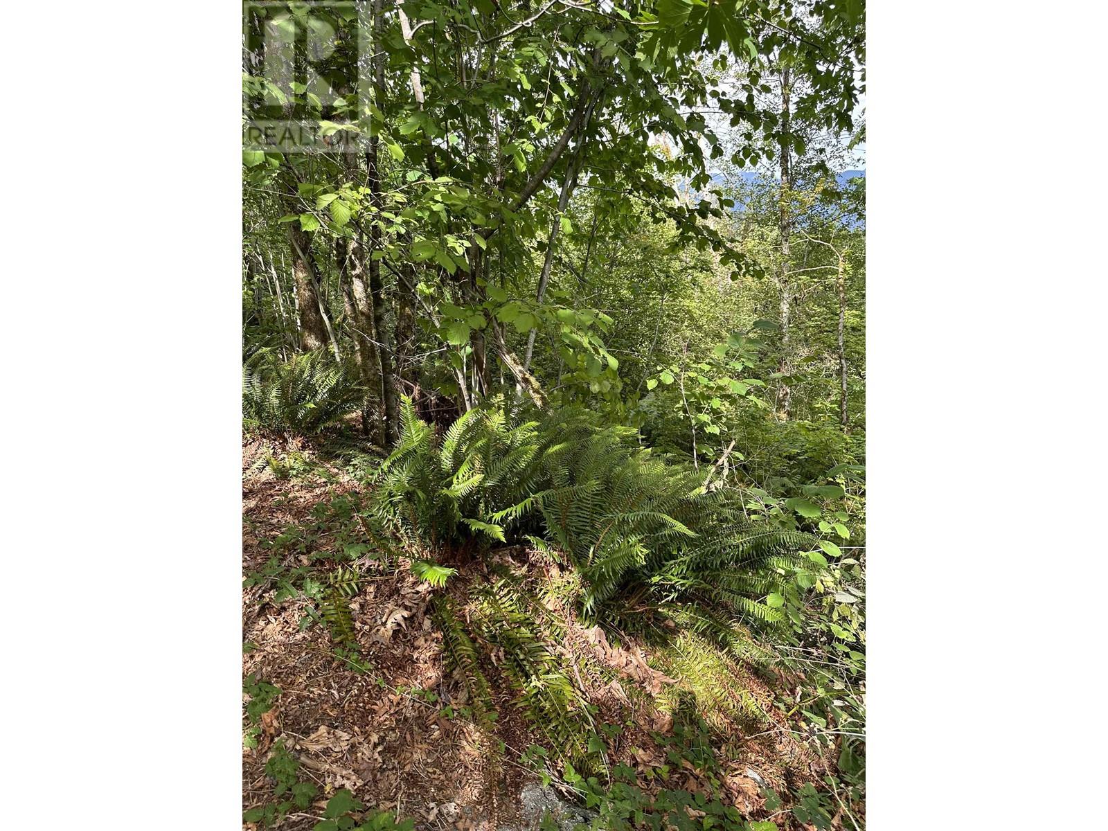 Quarry Road Property Photo 3