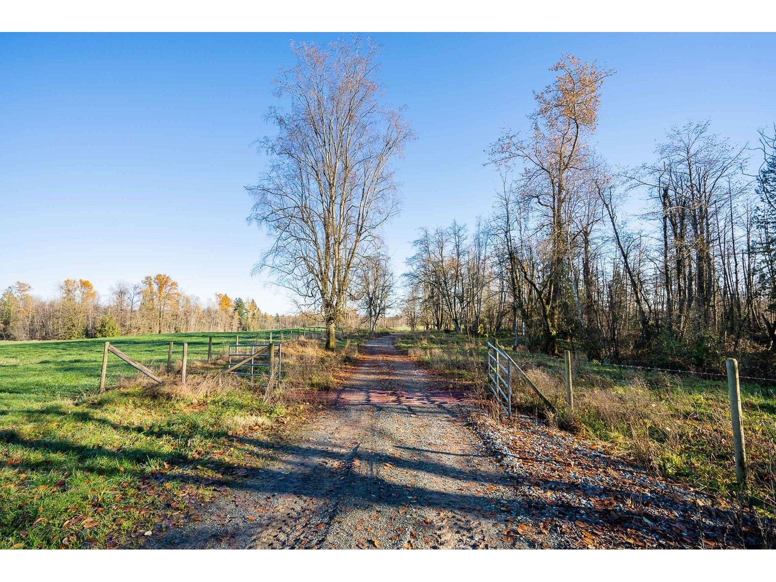 6290 272 Street Property Photo 13