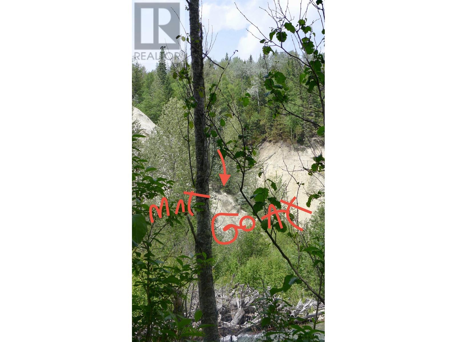 8165 Mountain View Road Property Photo 19