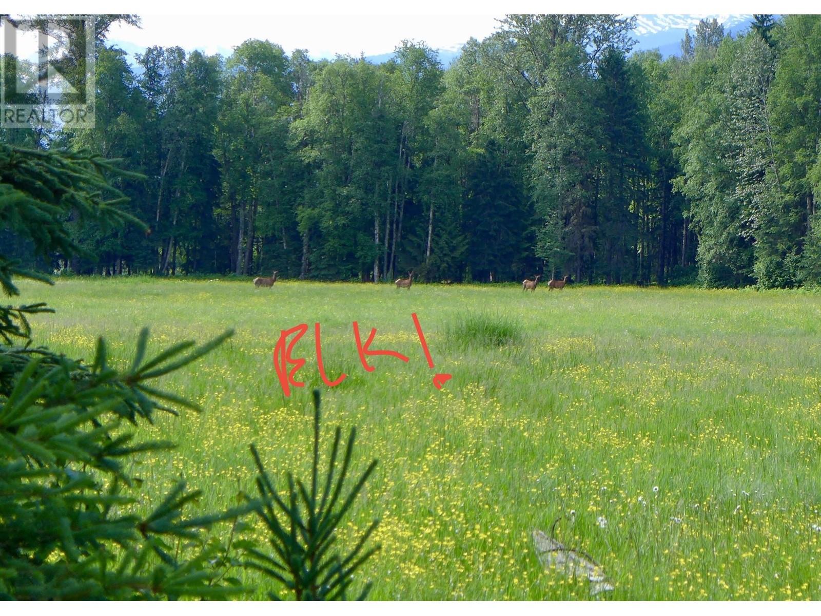 8165 Mountain View Road Property Photo 31