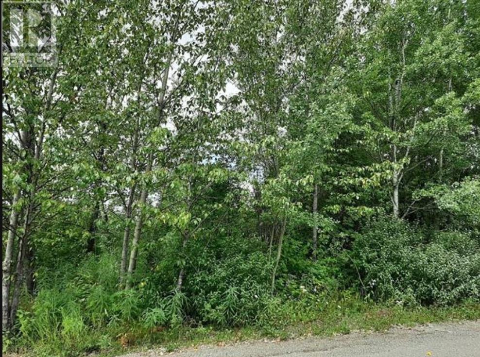 821 MURRAY ROAD Property Photo 1