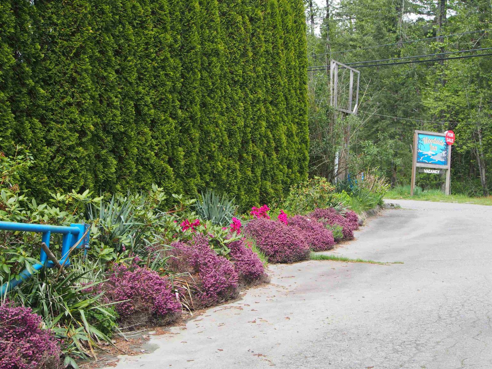 2226 Lougheed Highway, Mt Woodside Property Photo 9
