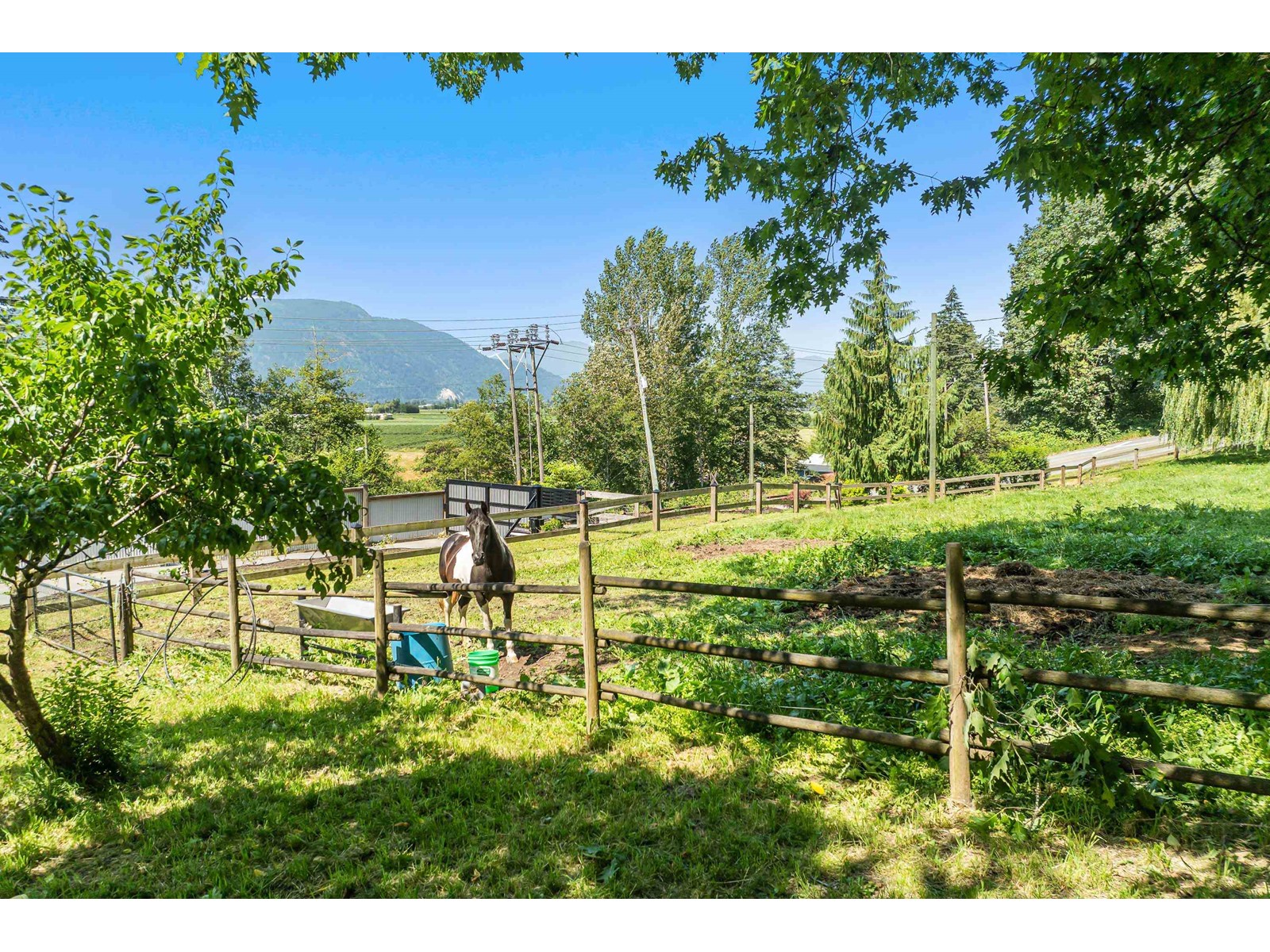 41056 Belrose Road Property Photo 4
