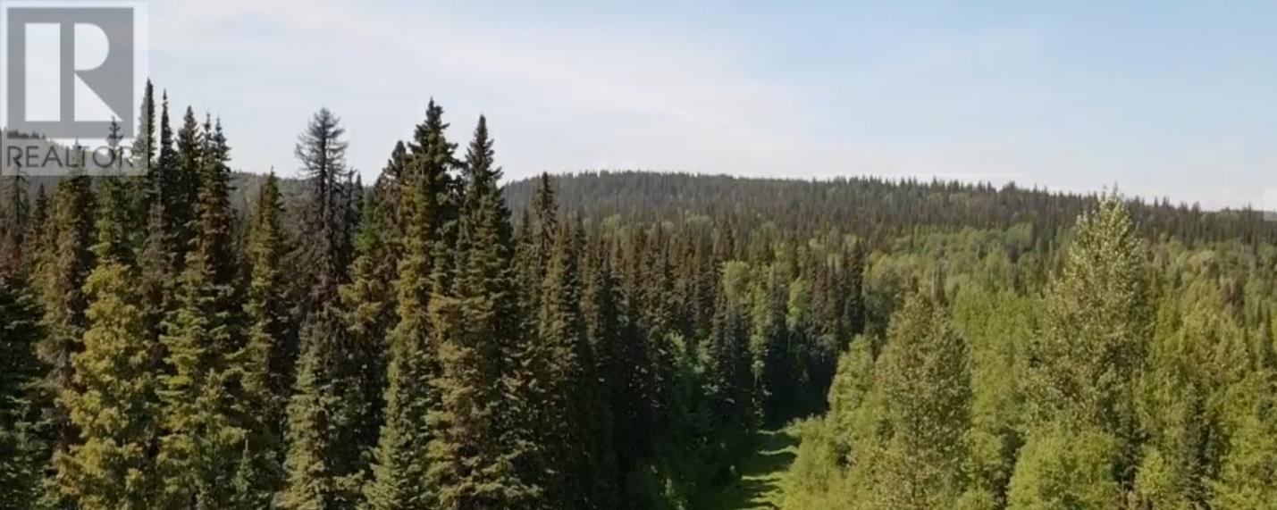 Pilot Mountain Road Property Photo 7