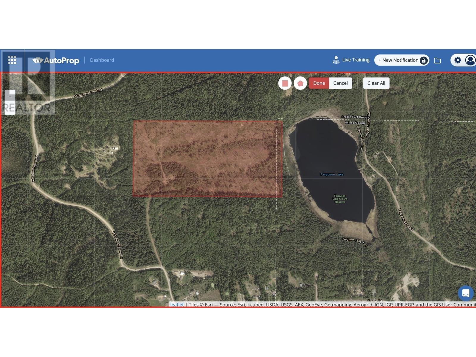 Pilot Mountain Road Property Photo 11