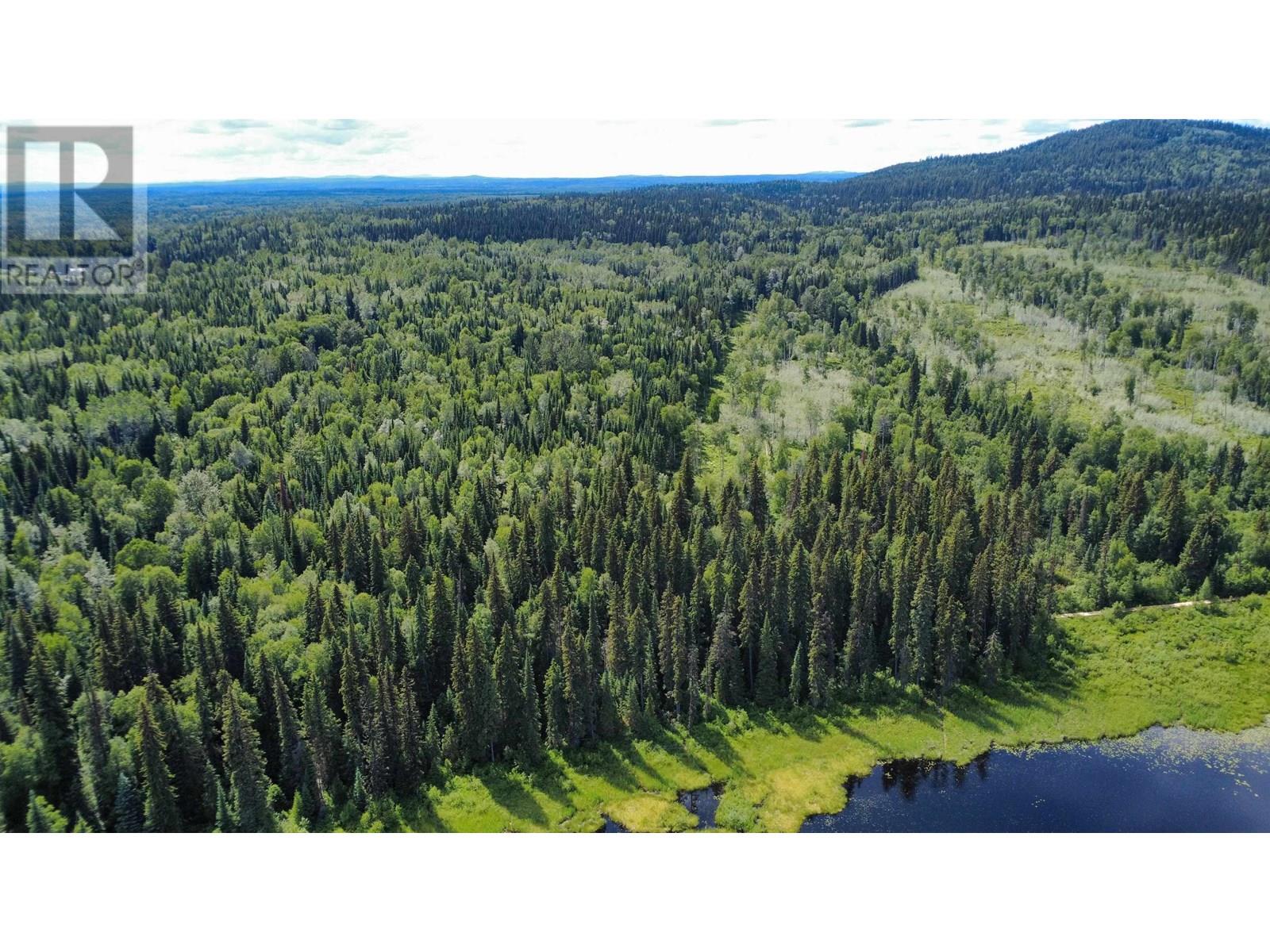 Pilot Mountain Road Property Photo 15