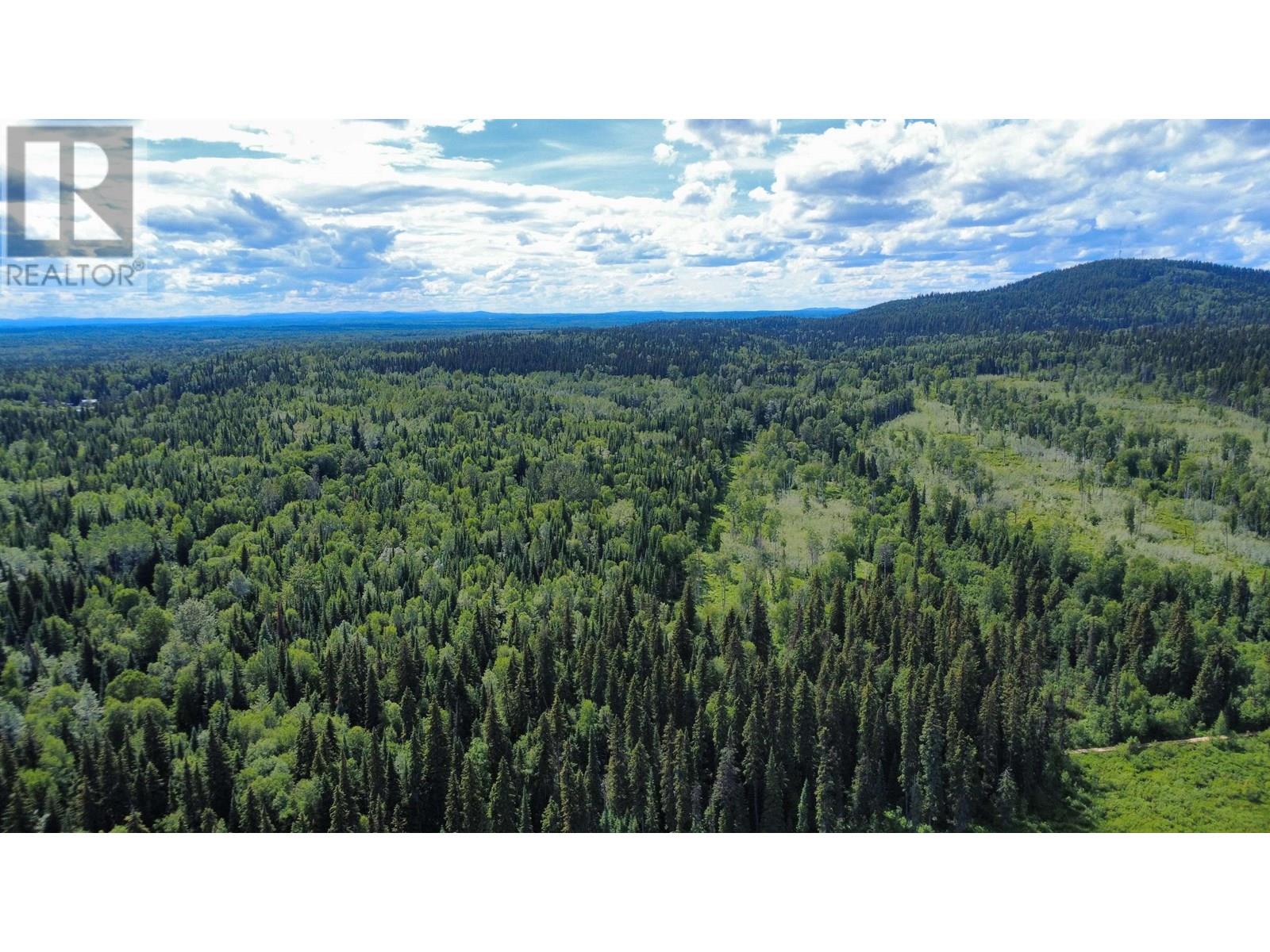 Pilot Mountain Road Property Photo 16