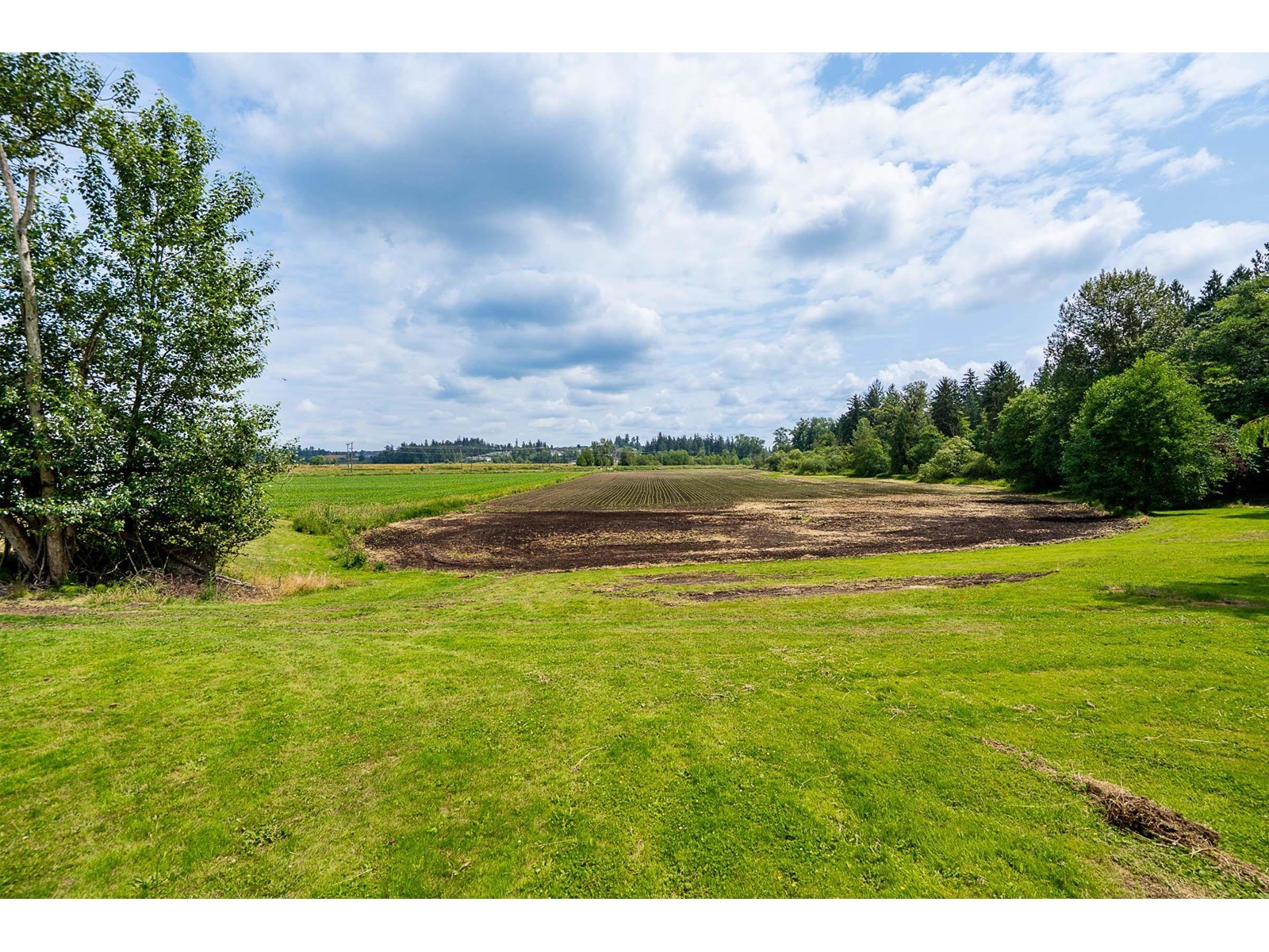5948 156 Street Property Photo 20