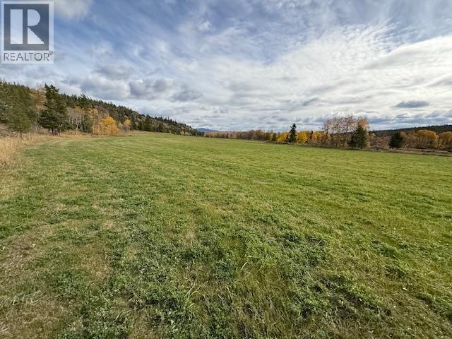 4877 Hellfire Road Property Photo 7