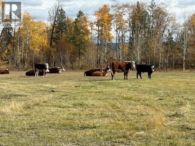 4877 Hellfire Road Property Photo 19