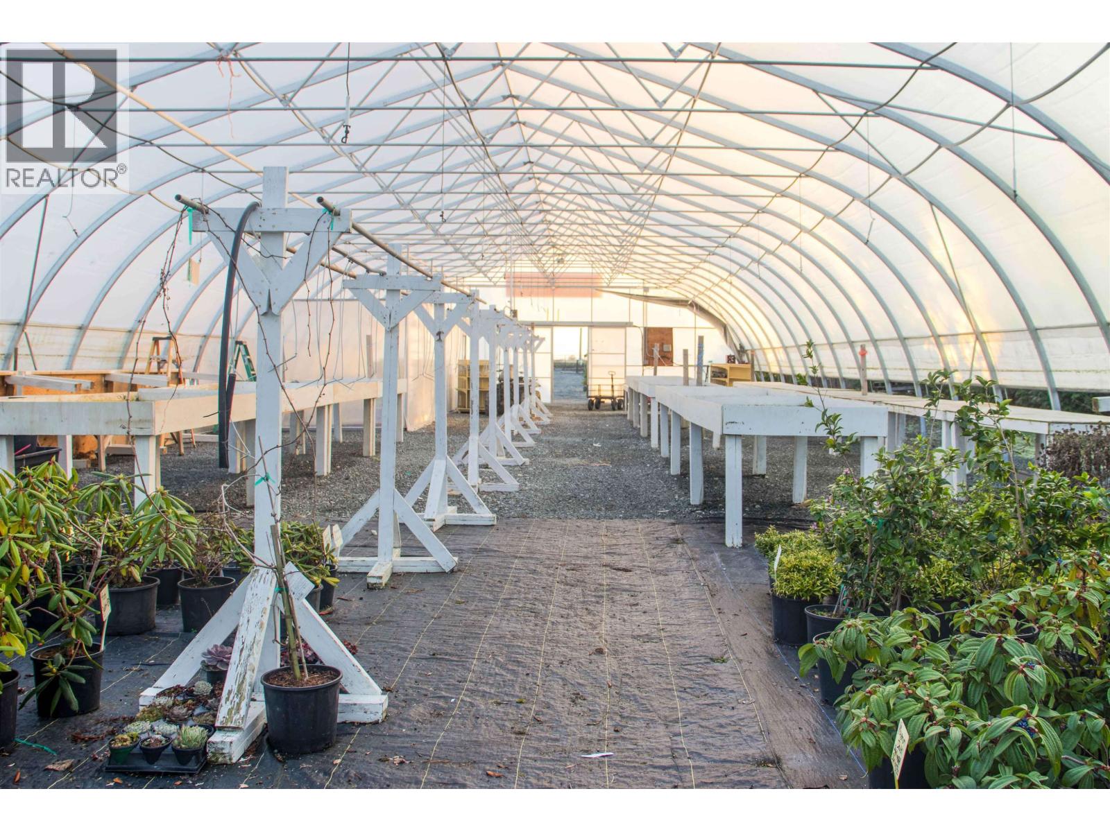 10641 Ladner Trunk Road Property Photo 4