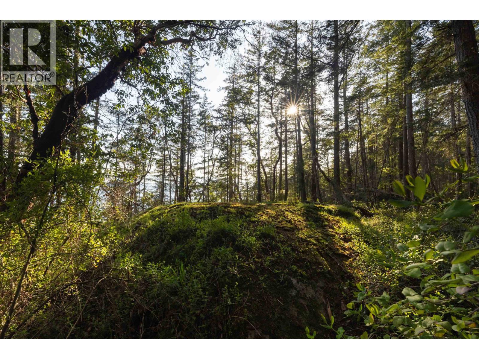 Lot C Sunshine Coast Highway Property Photo 4