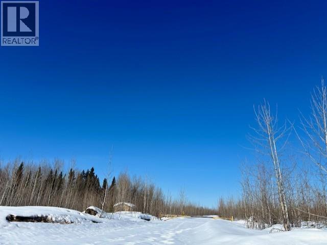 Mile 294 & 295 Alaska Highway Property Photo 24