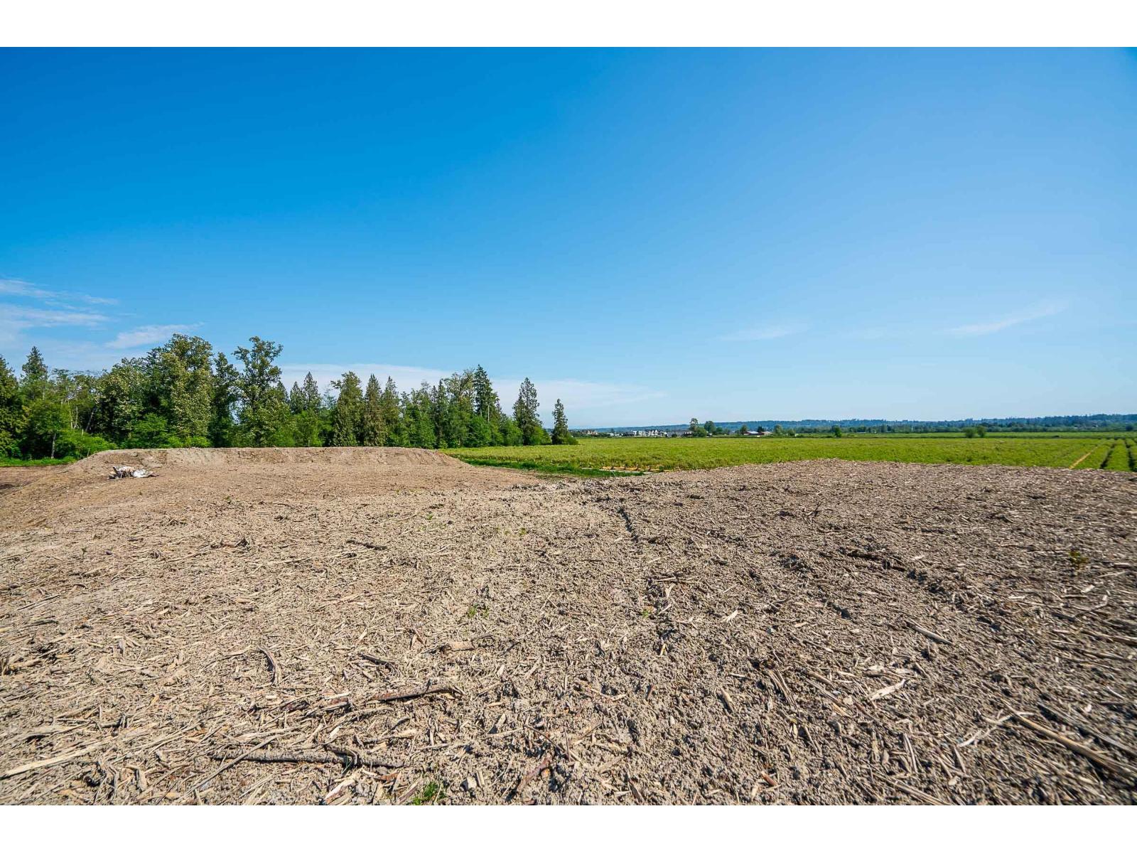 15448 56 Avenue Property Photo 15