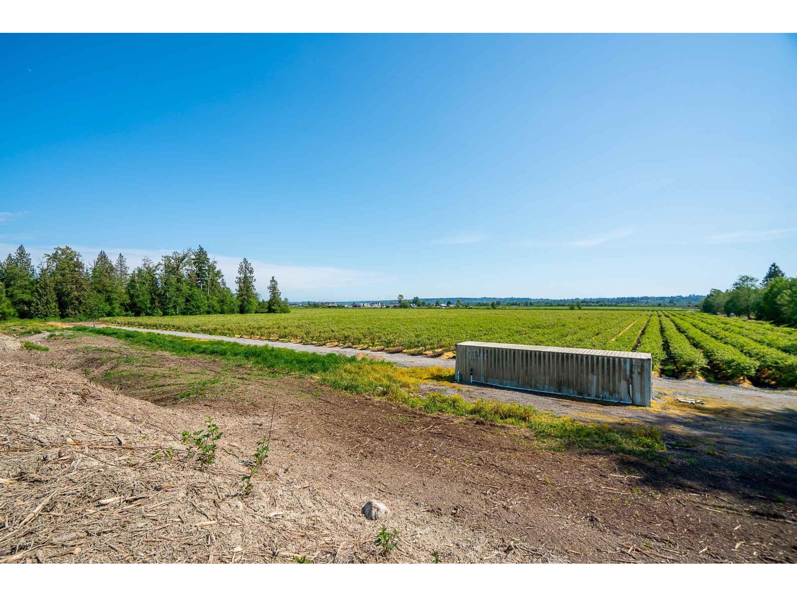 15448 56 Avenue Property Photo 16