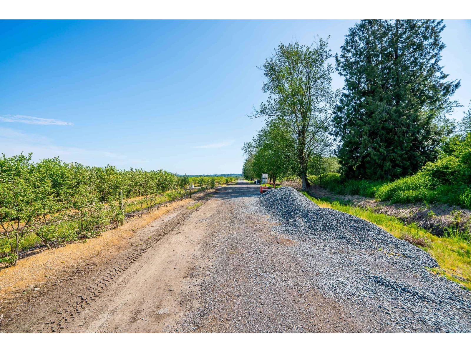 15448 56 Avenue Property Photo 18