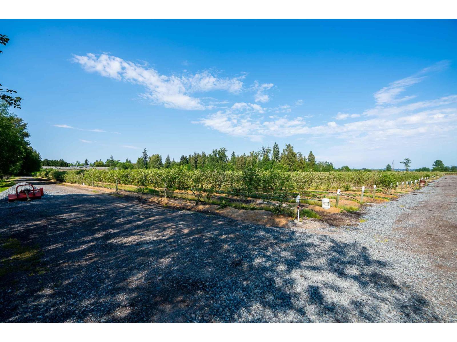 15448 56 Avenue Property Photo 19