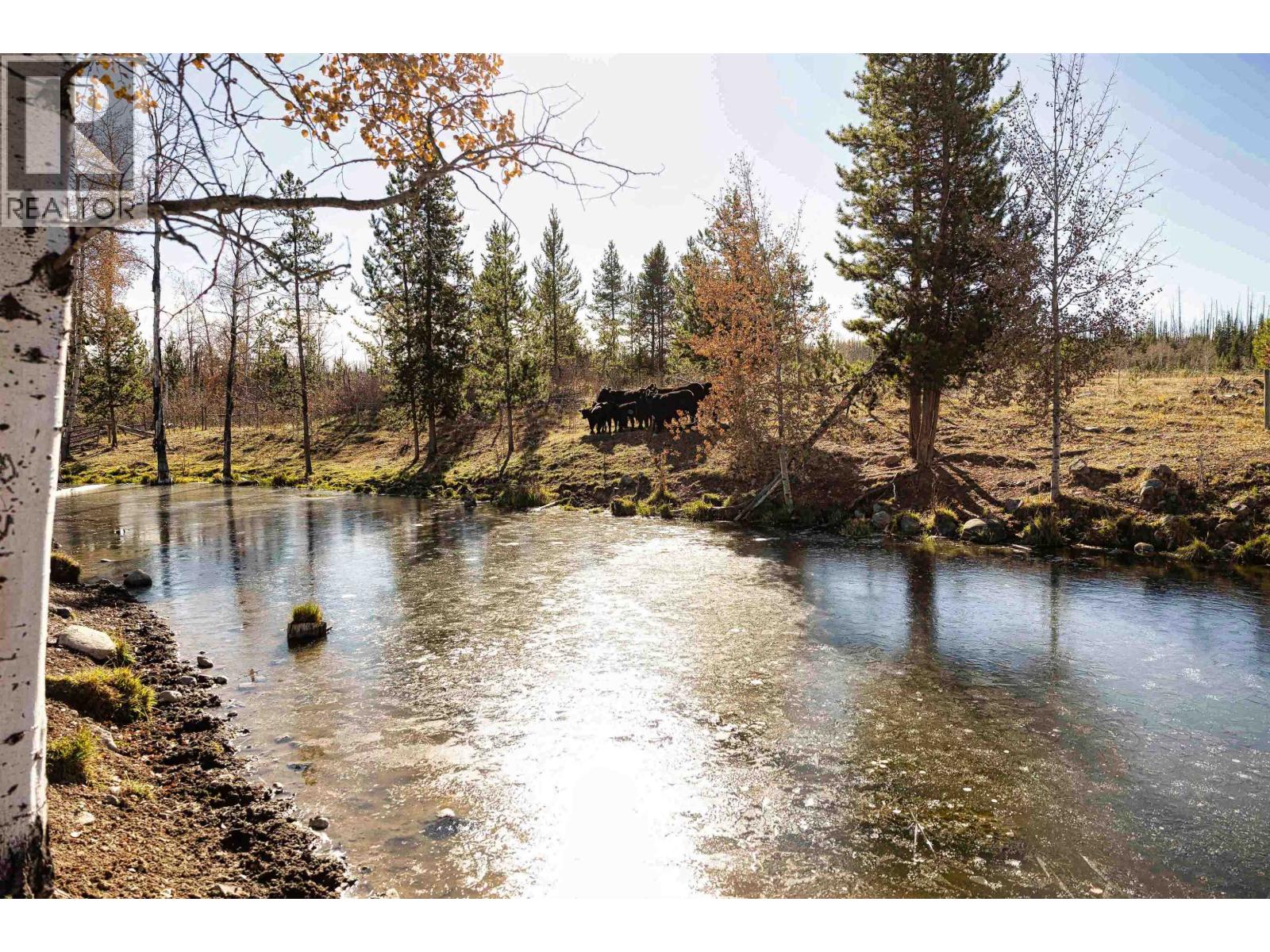 1605 Boule Young Lake Road Property Photo 15