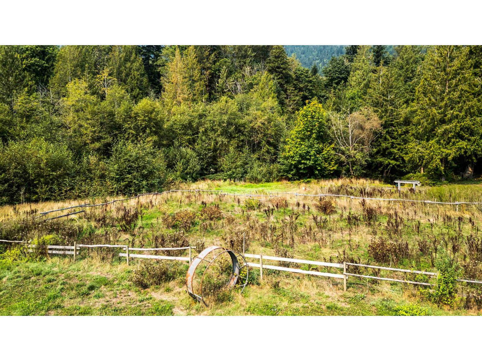 55270 Chilliwack Bench Fsr Road Property Photo 40