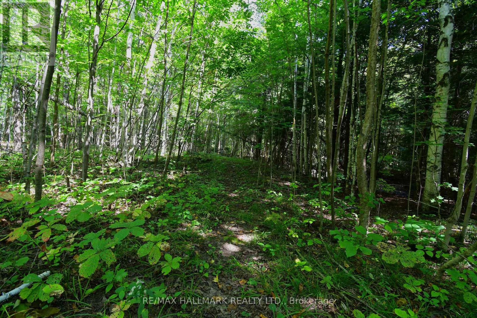 18555 Highway 12 Property Photo 33