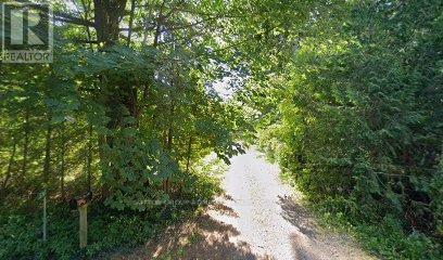 7574 White Road Property Photo