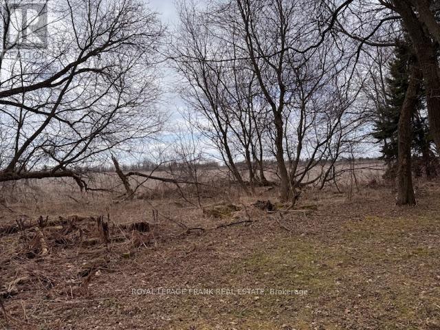 3725 Concession 1 Road Property Photo 21