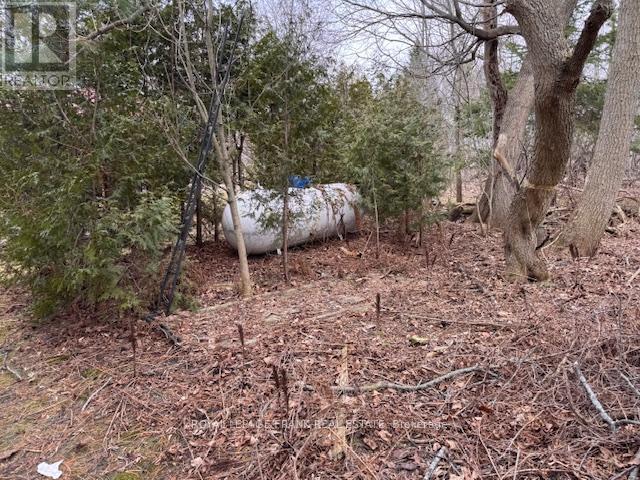 3725 Concession 1 Road Property Photo 22