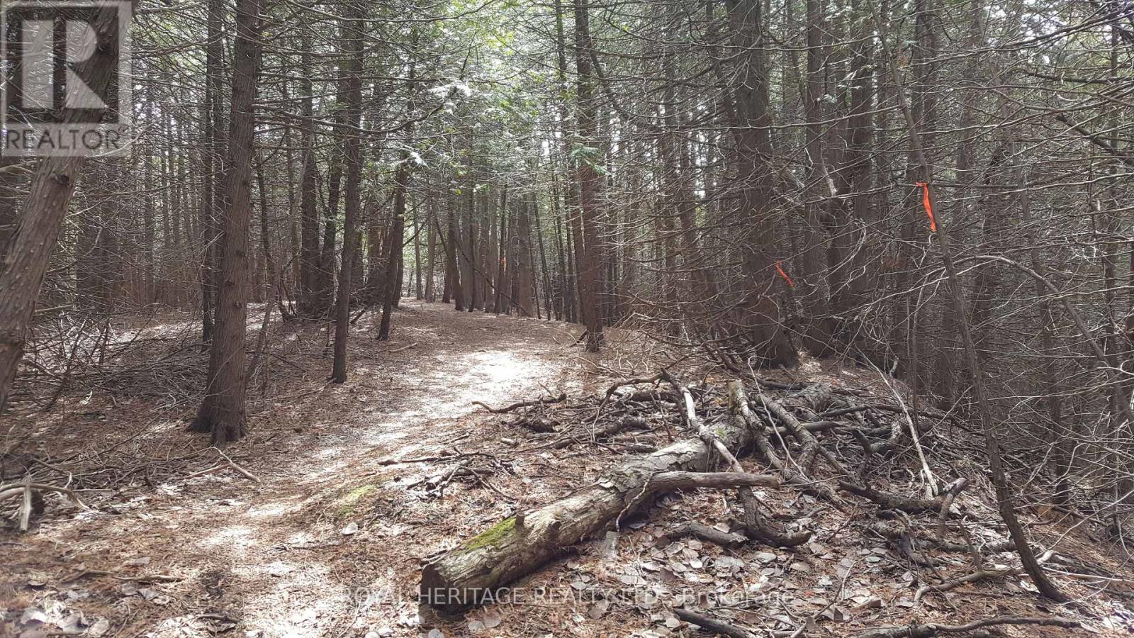 1855 Stevenson Road N Property Photo 4
