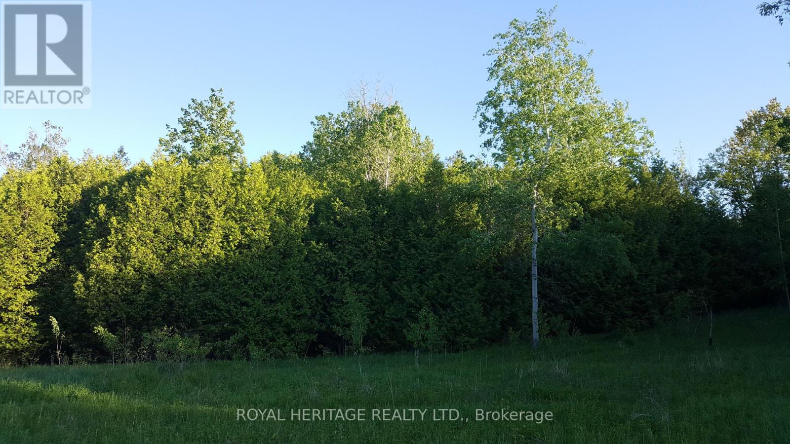 1855 Stevenson Road N Property Photo 8