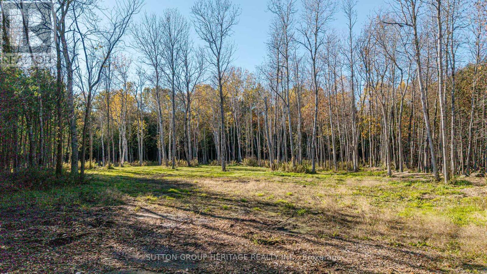 2490 Green Road Property Photo 17