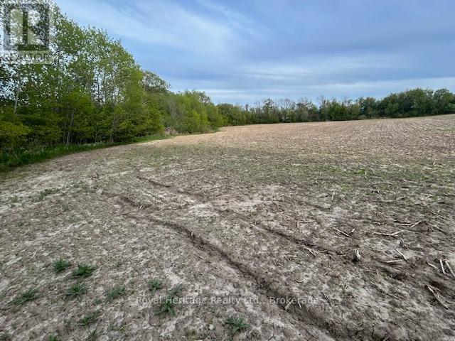 2299 Baseline Road W Property Photo 1