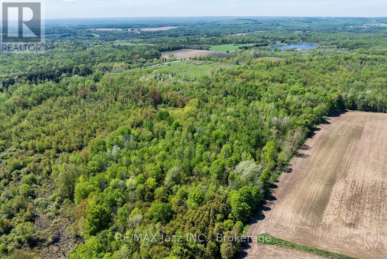 4148 Highway #2 Property Photo 9