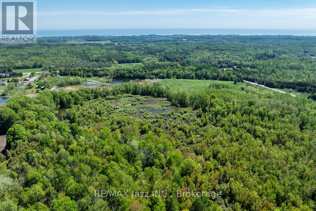 4148 Highway #2 Property Photo 11