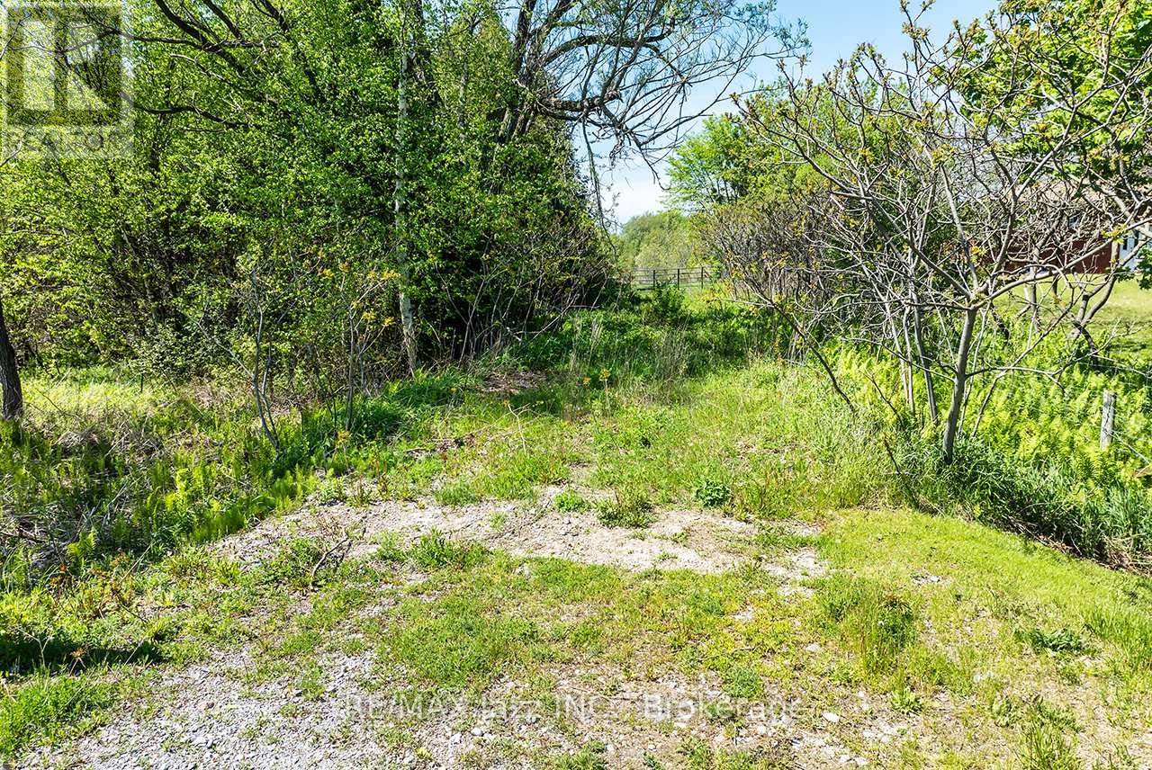 4148 Highway #2 Property Photo 22