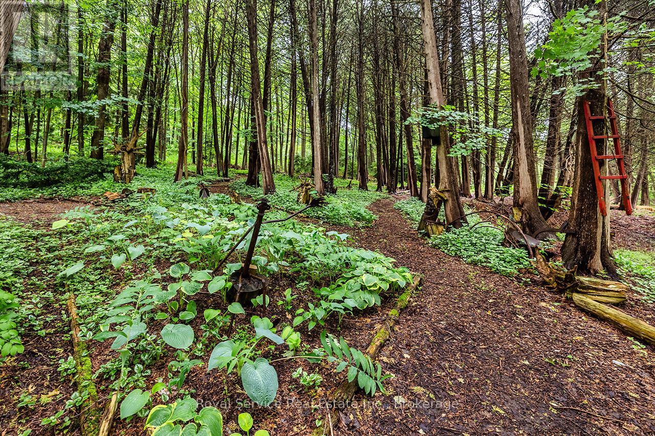5147 Patterson Road Property Photo 49
