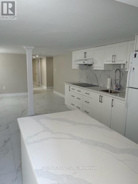 BASEMENT - 38 CLIFFSIDE DRIVE Property Photo 1
