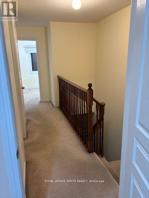 11 Curran Hall Crescent Property Photo 10
