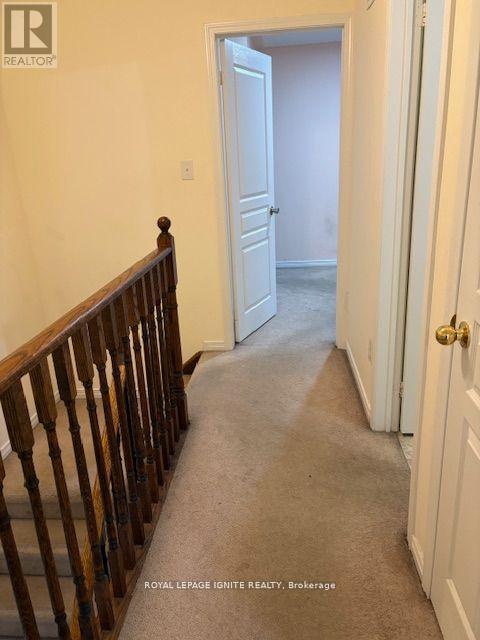 11 Curran Hall Crescent Property Photo 18