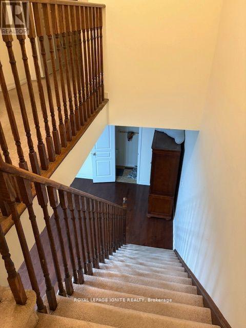 11 Curran Hall Crescent Property Photo 32