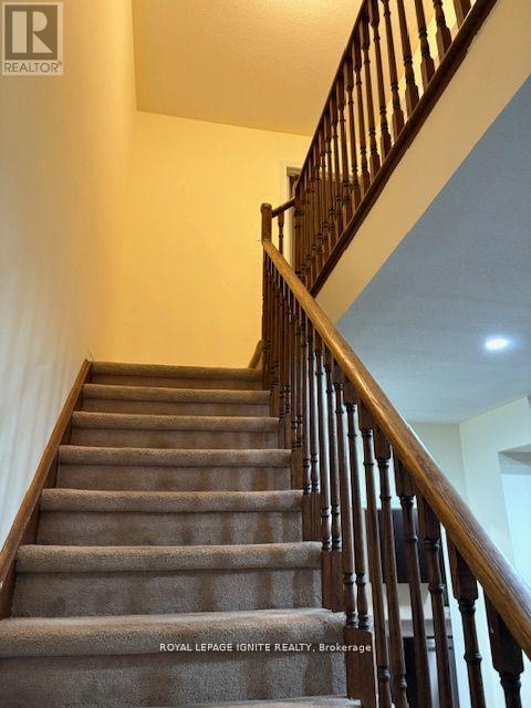11 Curran Hall Crescent Property Photo 33