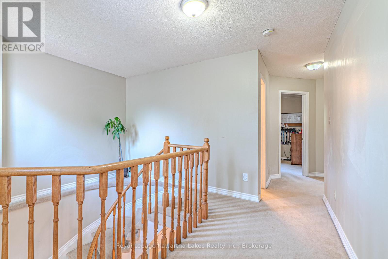 38 Lipton Crescent Property Photo 16