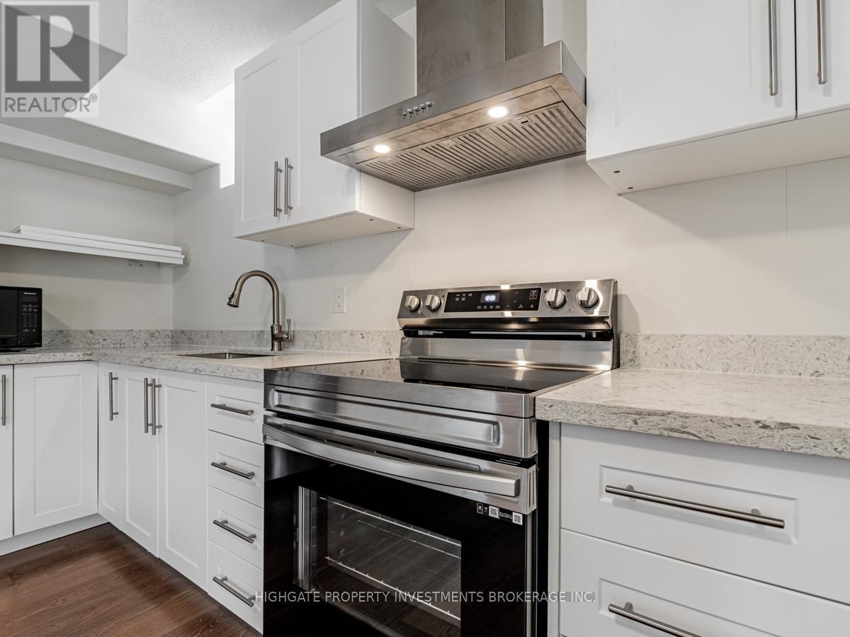 Bsmt - 1055 Purus Path Property Photo 8