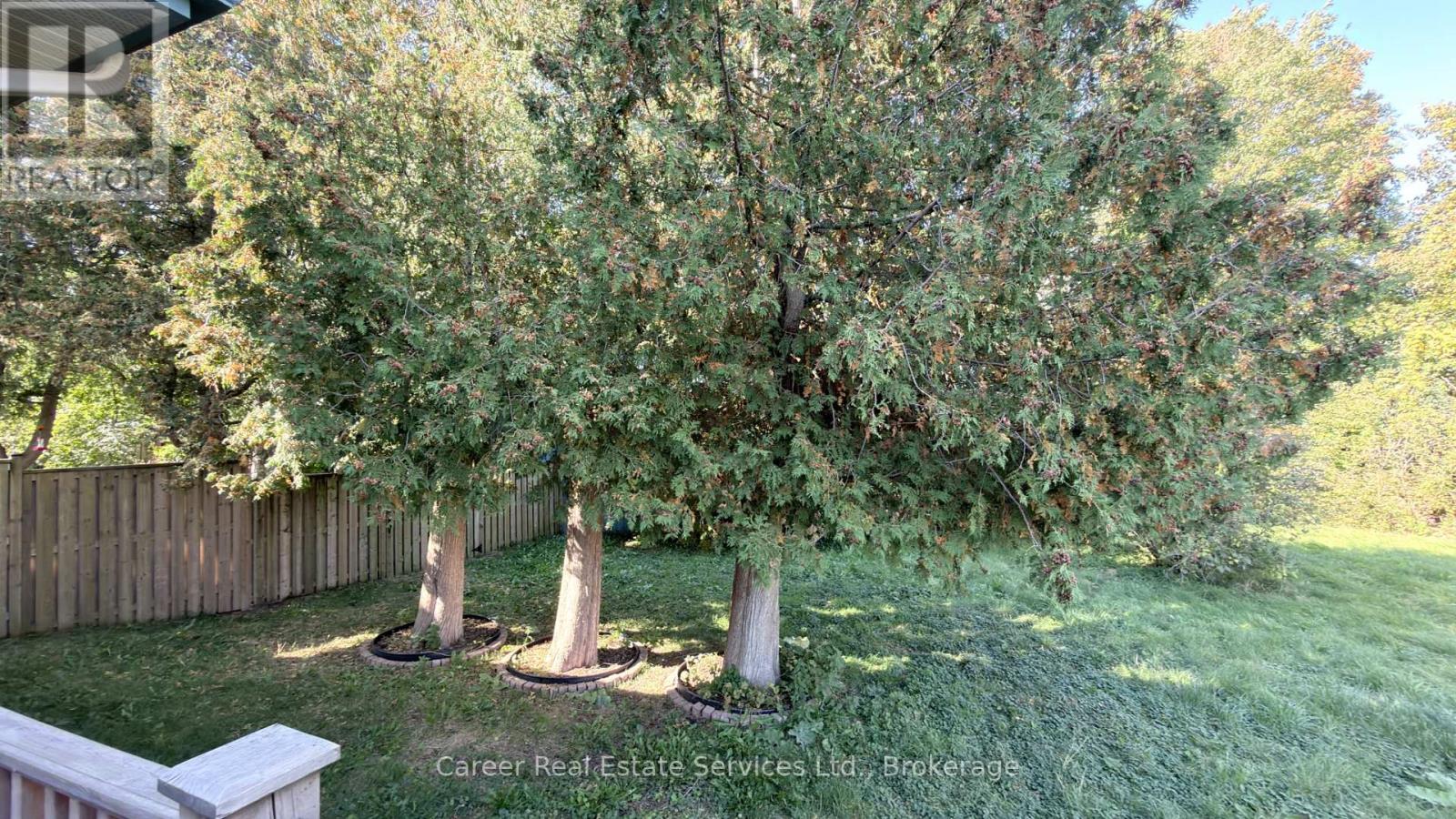 995 Cedar Street Property Photo 25