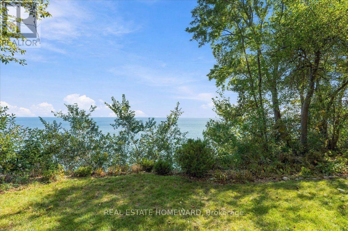 35 Springbank Avenue Property Photo 8
