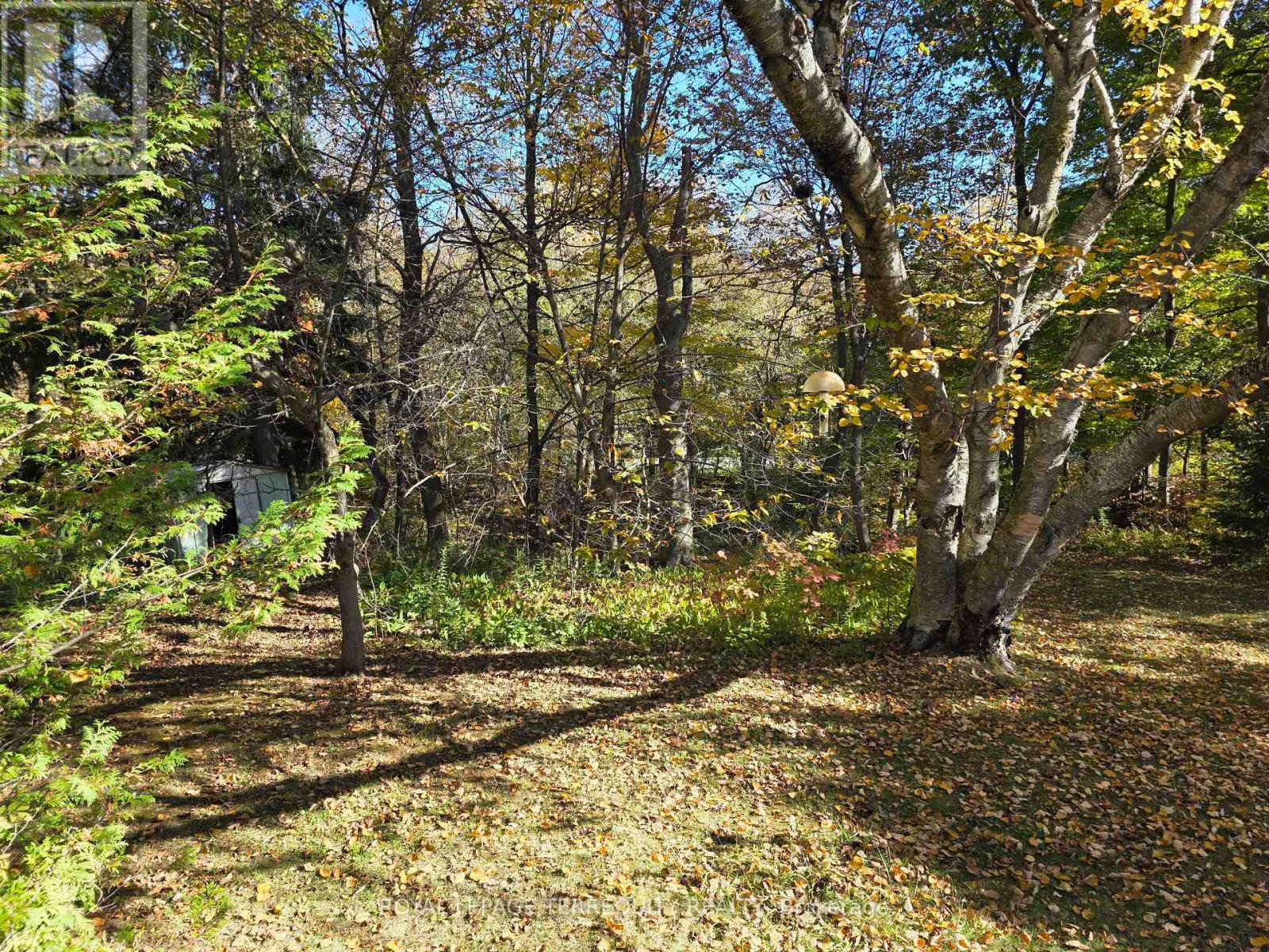 107 Cliffcrest Drive Property Photo 2